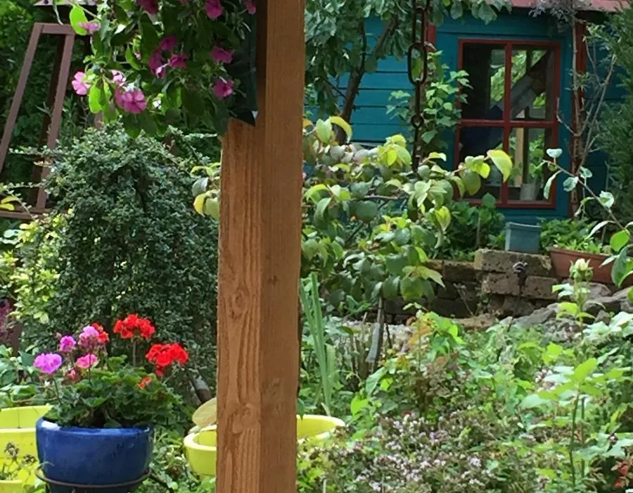 B&B Bij de Boomgaard-1